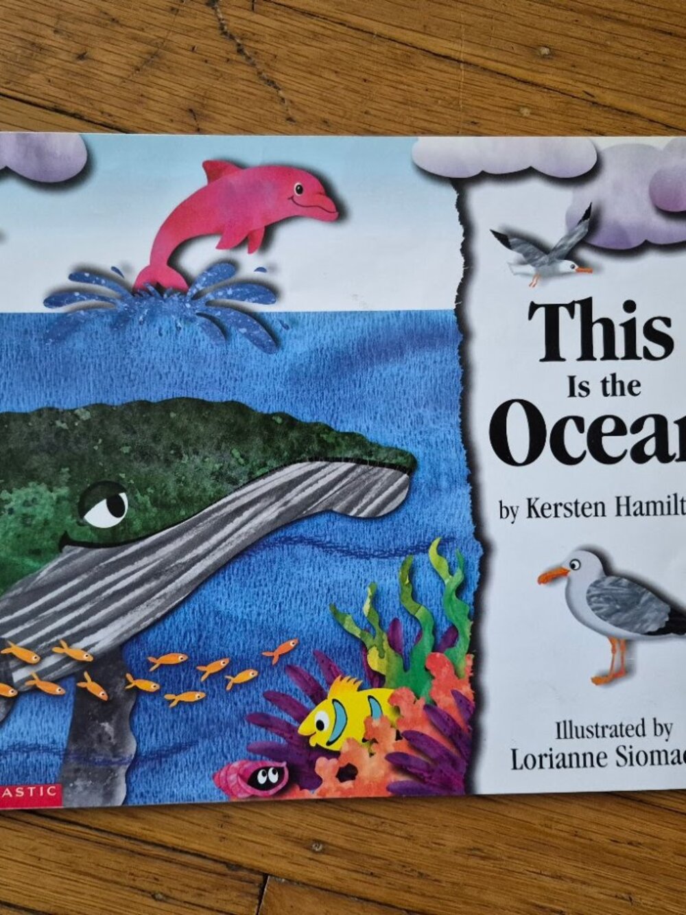 This Is The Ocean